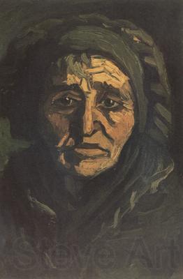 Vincent Van Gogh Head of a Peasant Woman with Dard Cap (nn014) France oil painting art